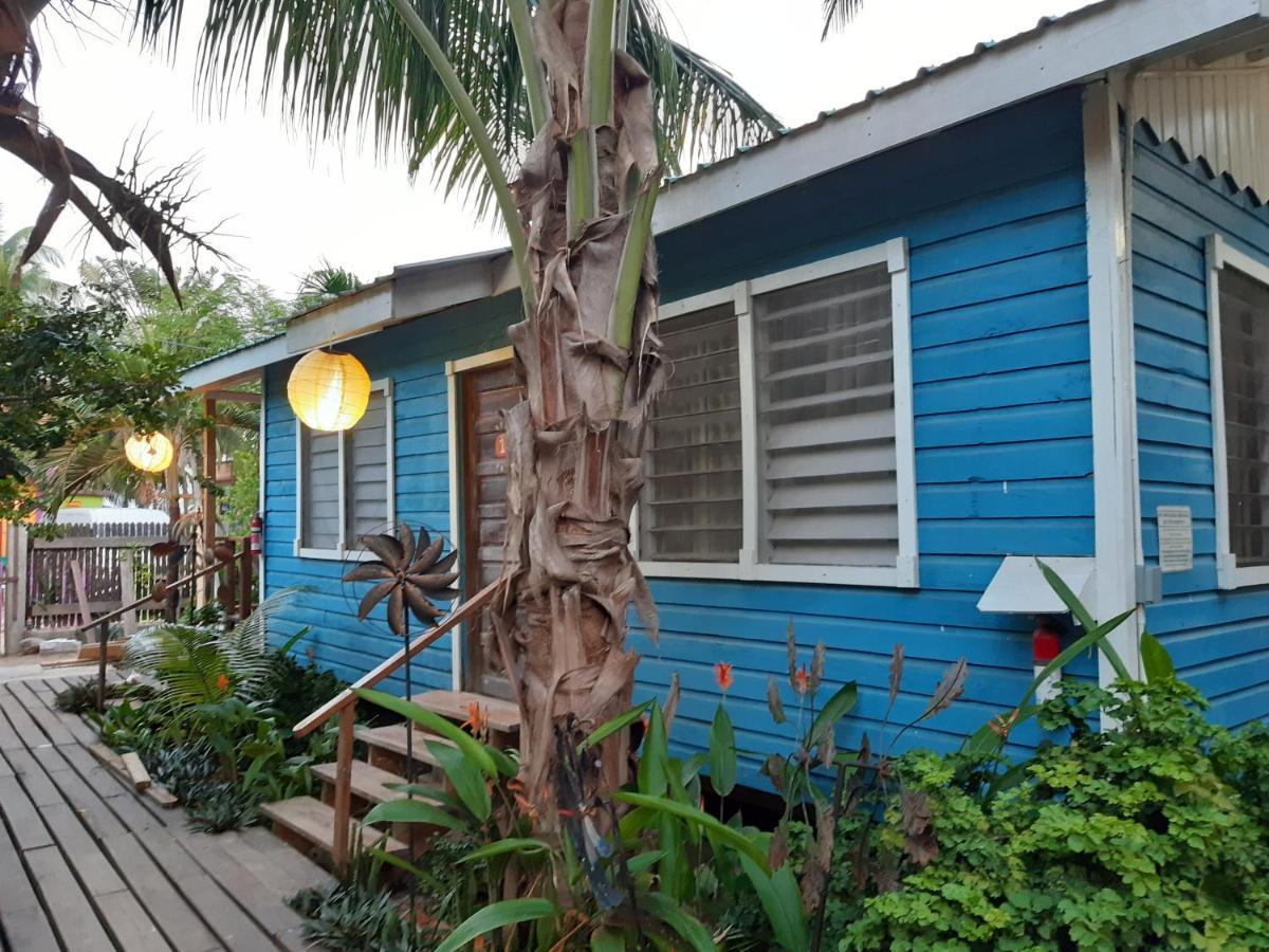 The Funky Dodo Backpackers Hostel Hopkins Exteriér fotografie