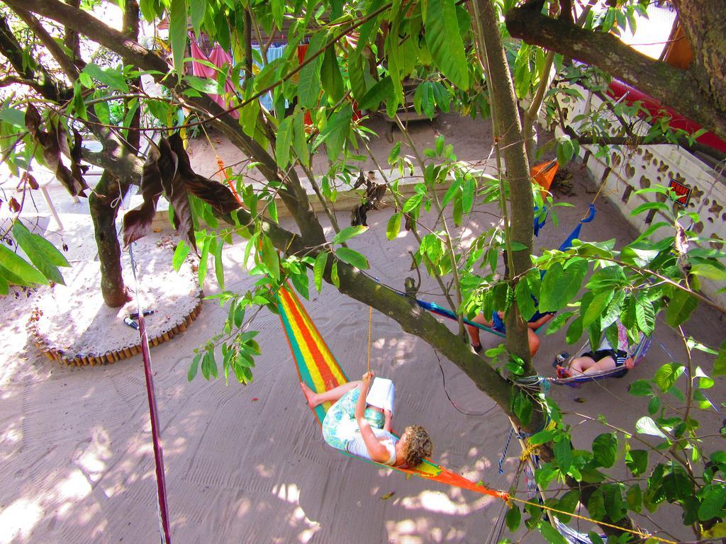 The Funky Dodo Backpackers Hostel Hopkins Exteriér fotografie
