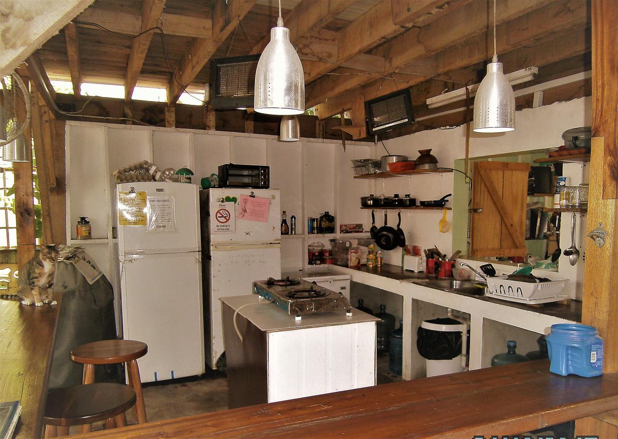 The Funky Dodo Backpackers Hostel Hopkins Exteriér fotografie