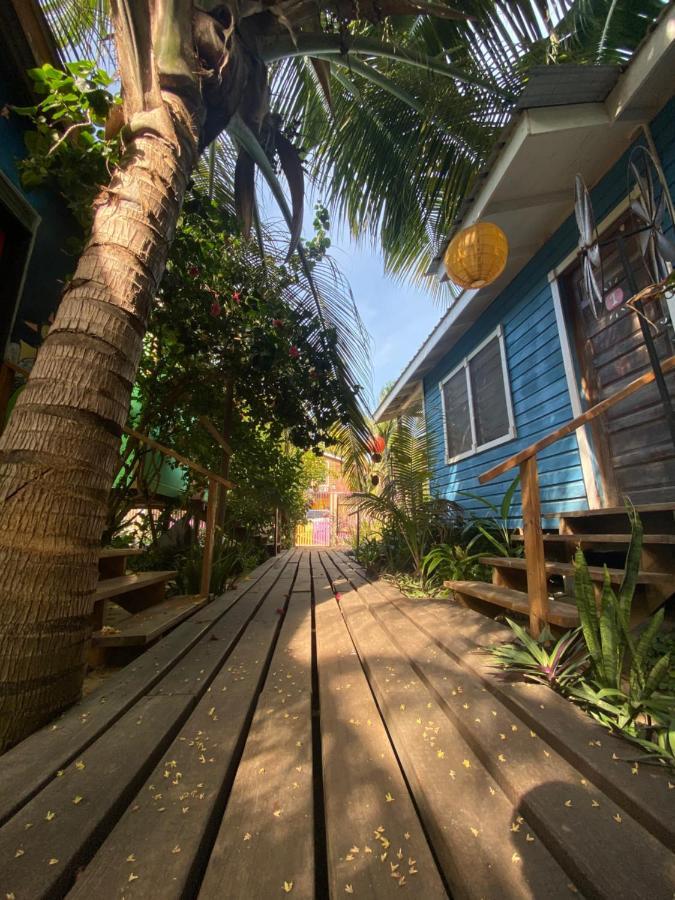 The Funky Dodo Backpackers Hostel Hopkins Exteriér fotografie
