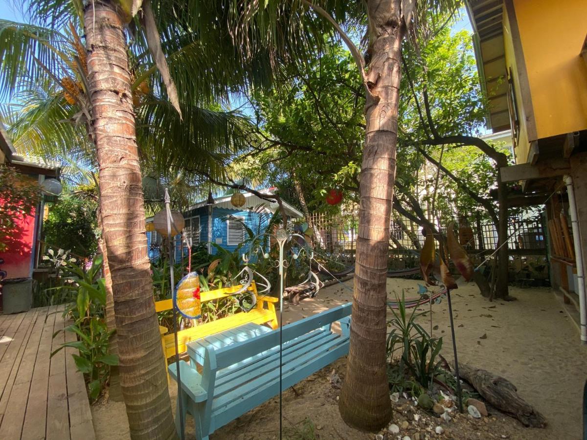 The Funky Dodo Backpackers Hostel Hopkins Exteriér fotografie