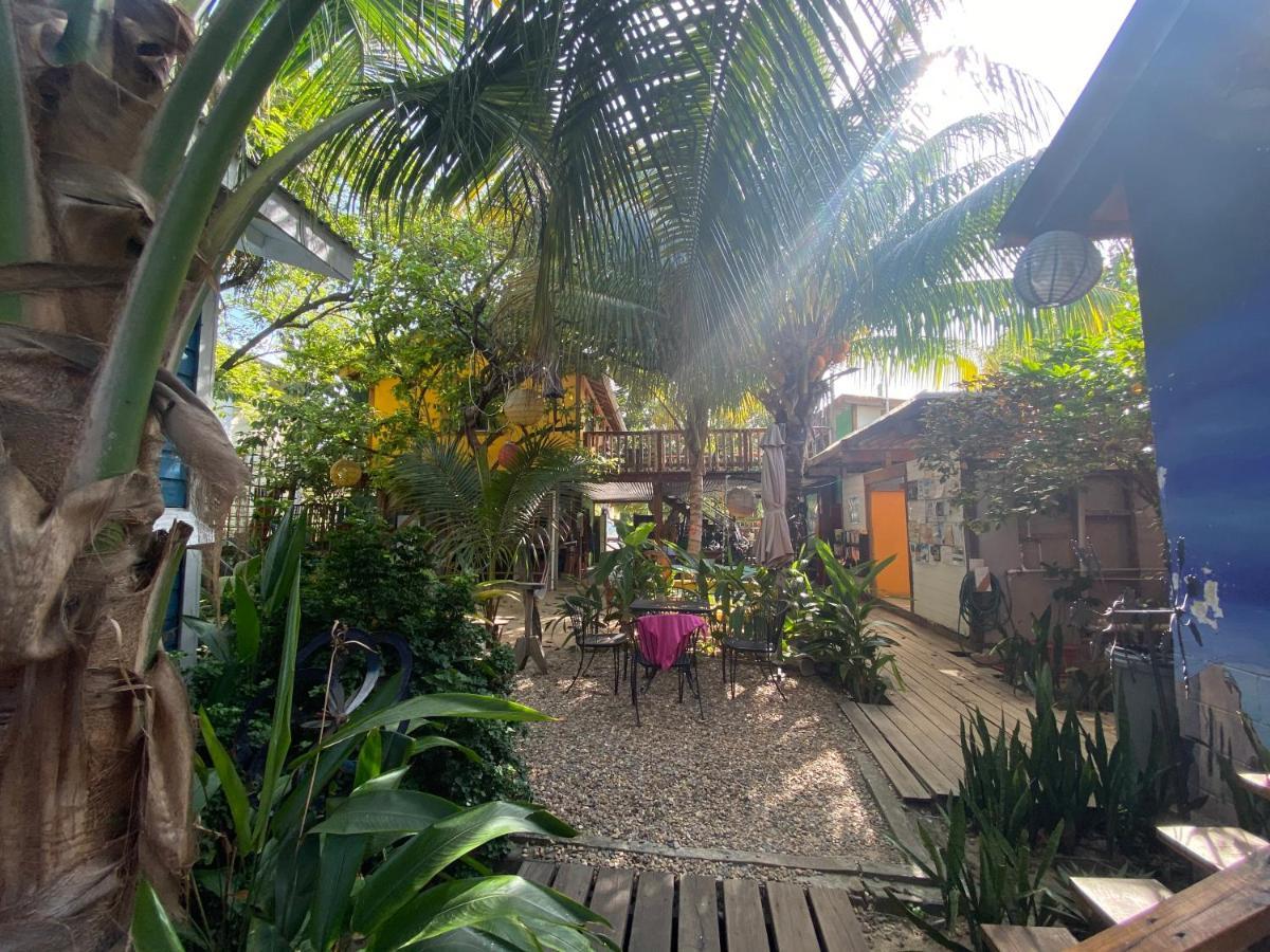 The Funky Dodo Backpackers Hostel Hopkins Exteriér fotografie