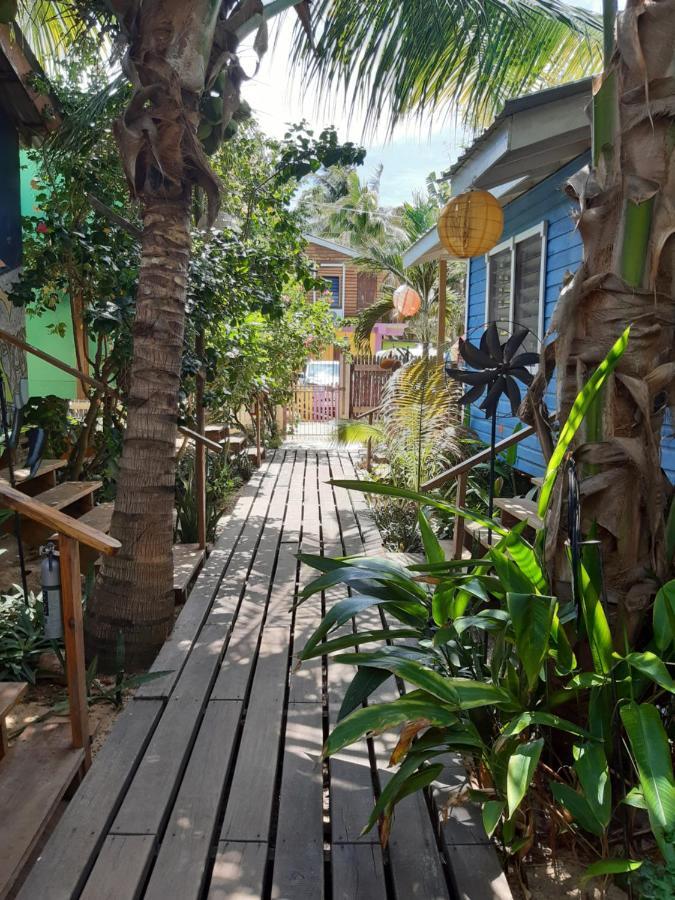 The Funky Dodo Backpackers Hostel Hopkins Exteriér fotografie