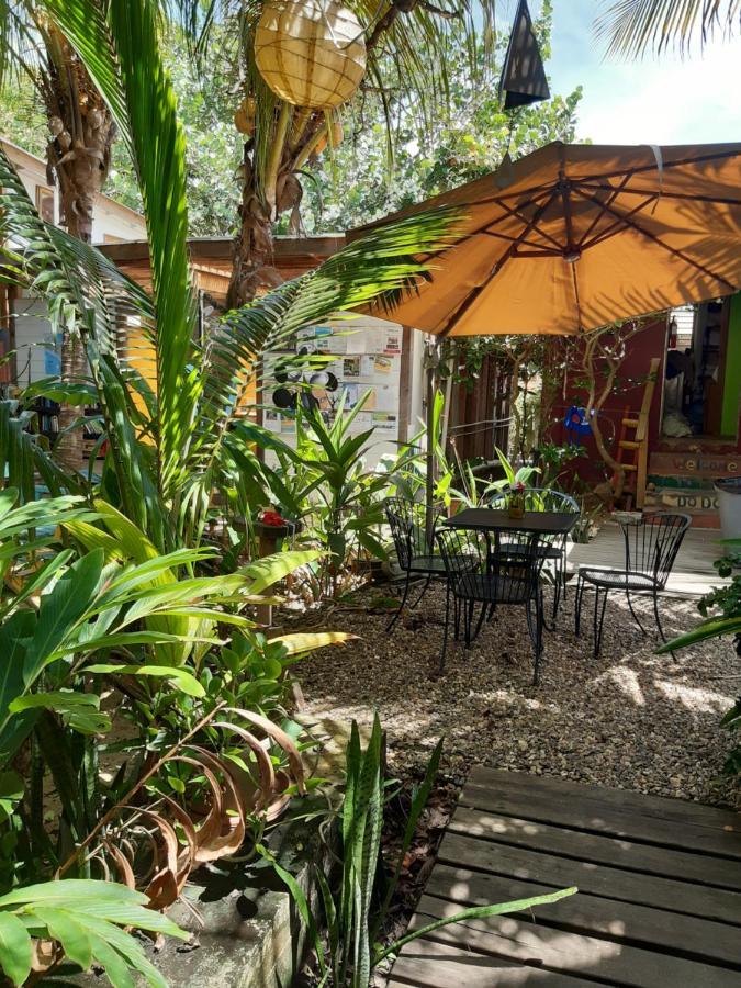 The Funky Dodo Backpackers Hostel Hopkins Exteriér fotografie